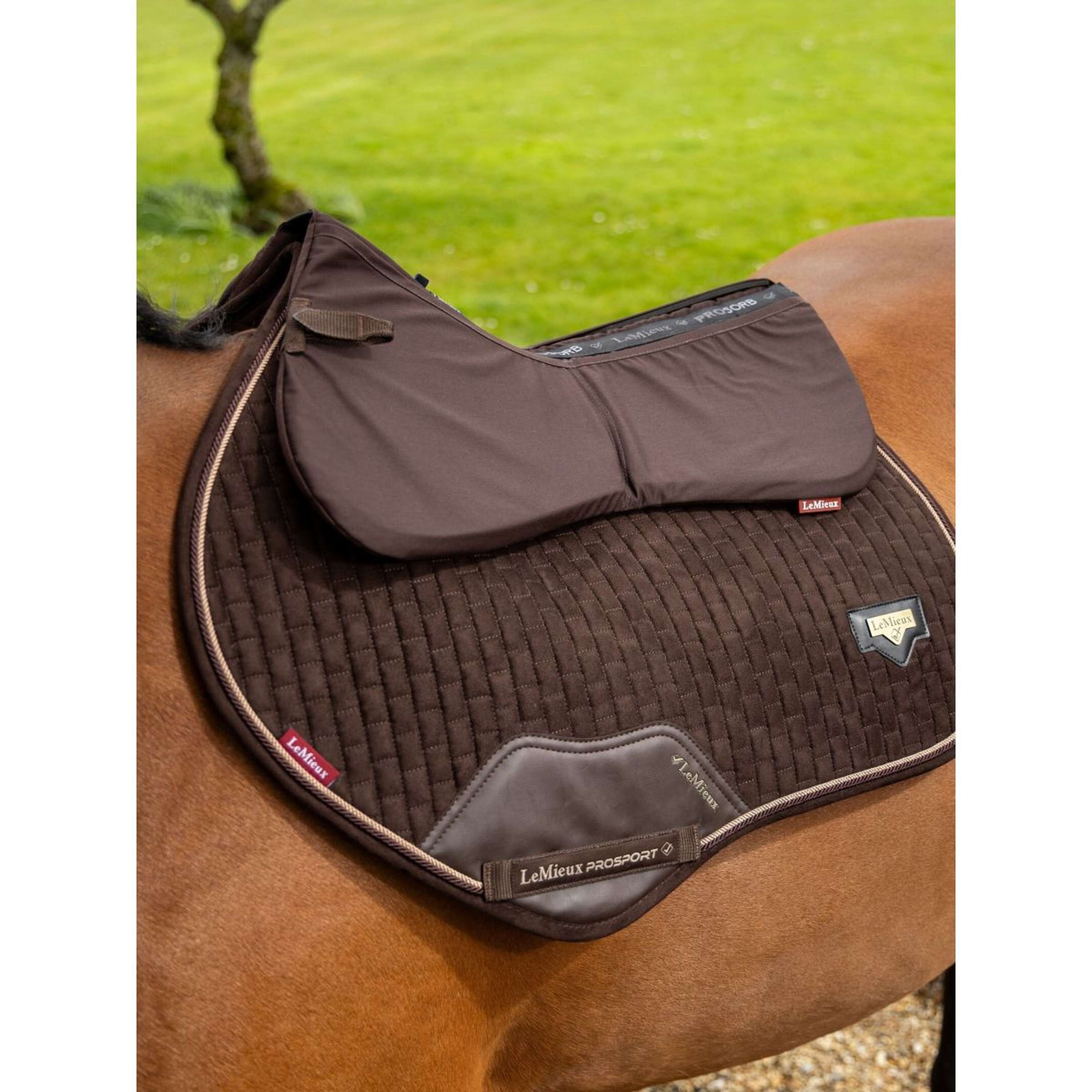 LeMieux Sottosella Pro-Sorb Plain Marrone