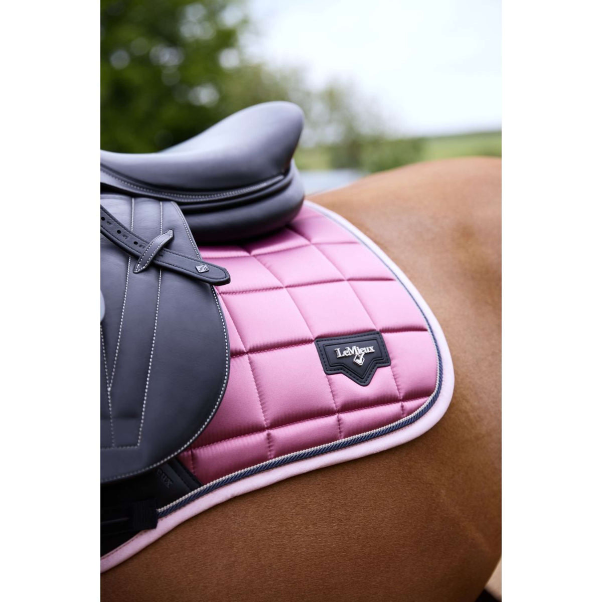 LeMieux Sottosella Loire Classic Saltare Peonia