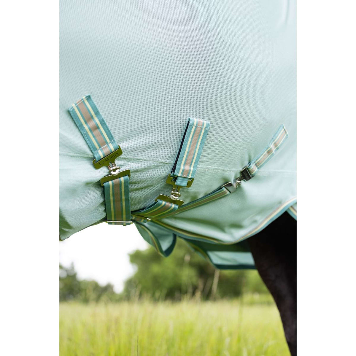 LeMieux Coperta Antimosche Arika Armour-Tek SS25 Acqua