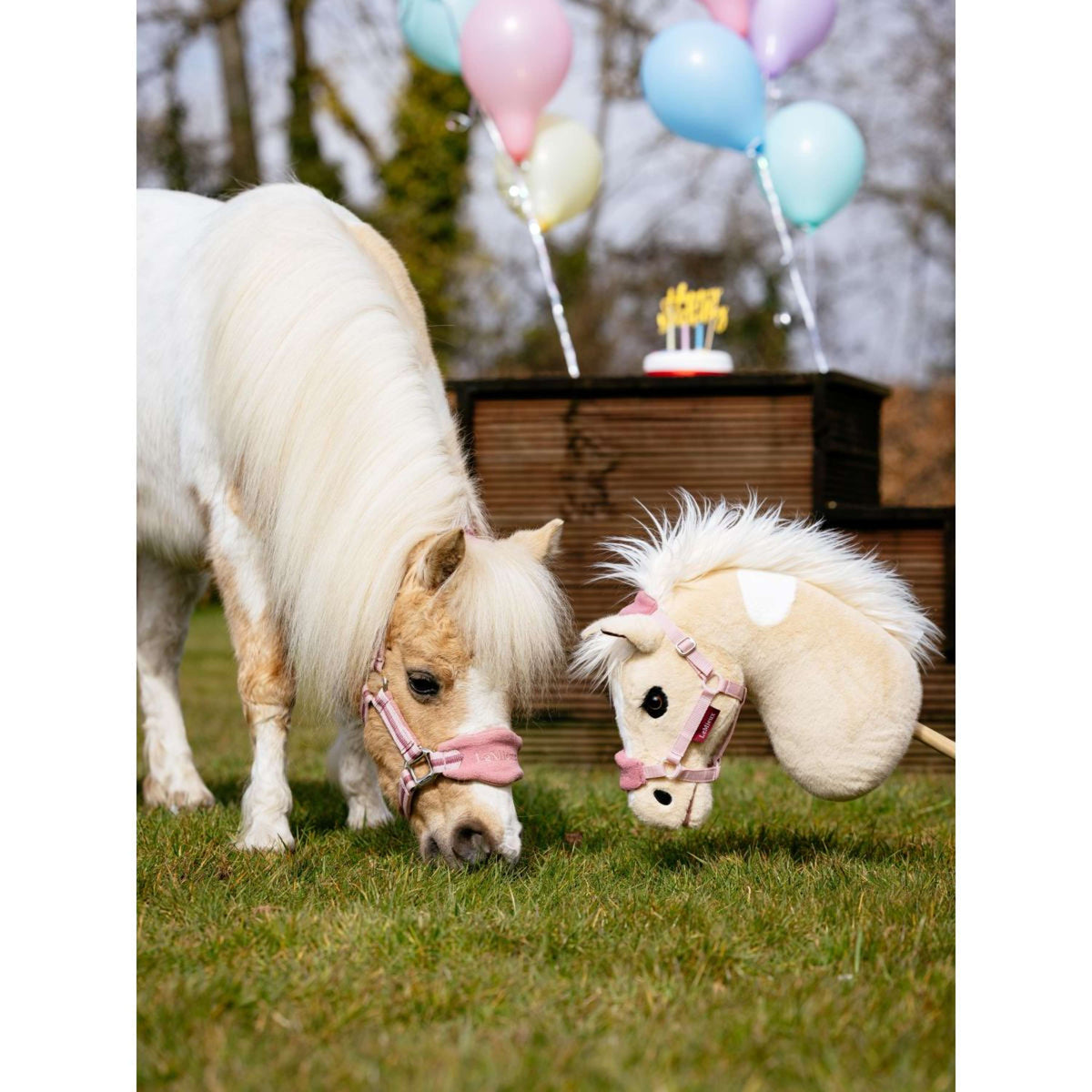 LeMieux Cavallo da hobby Lemon Lemon