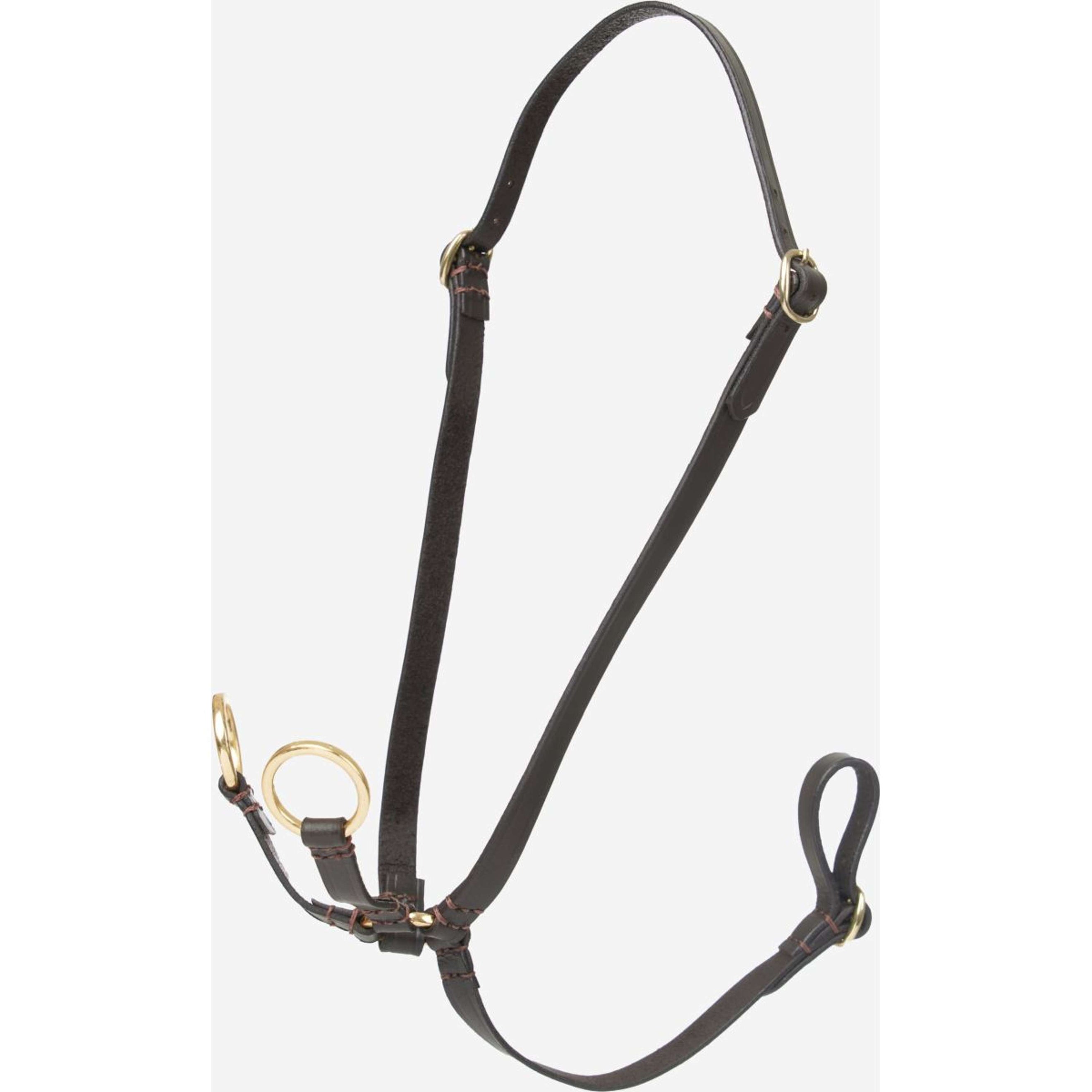 LeMieux Hobby Horse Martingala Running Marrone