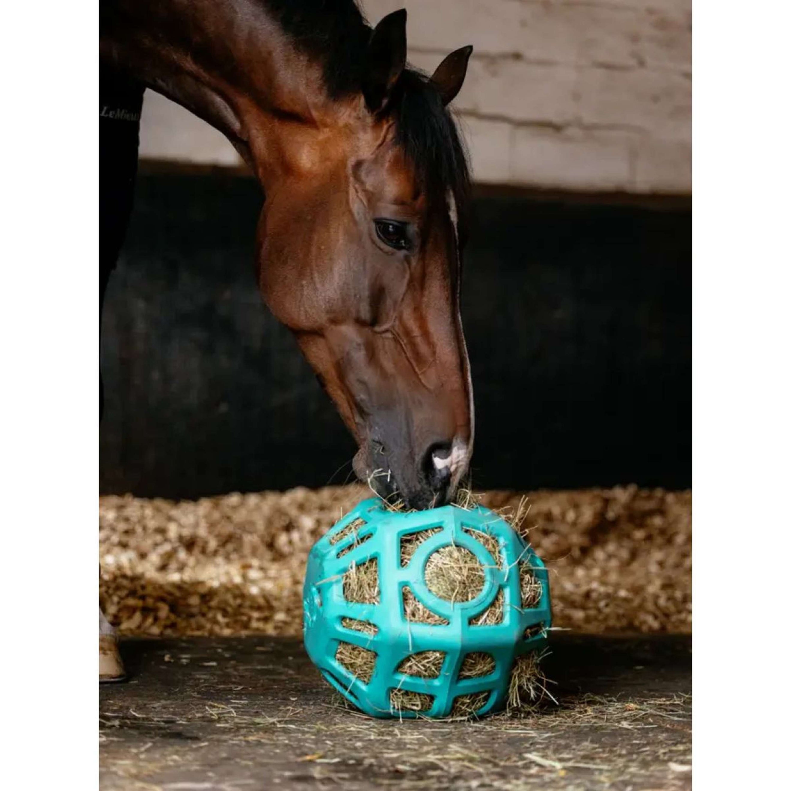 LeMieux Pallone da Gioco Hay Lagoon LeMieux Pallone da Gioco Hay Lagoon