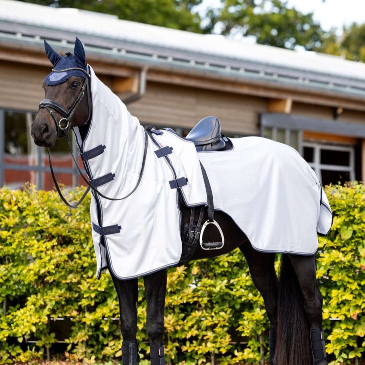 LeMieux Coperta da equitazione anti-mosche Grigio