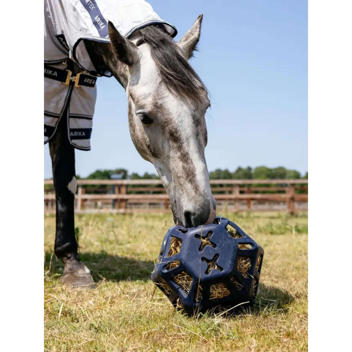 LeMieux Pallone da Gioco Hay Navy