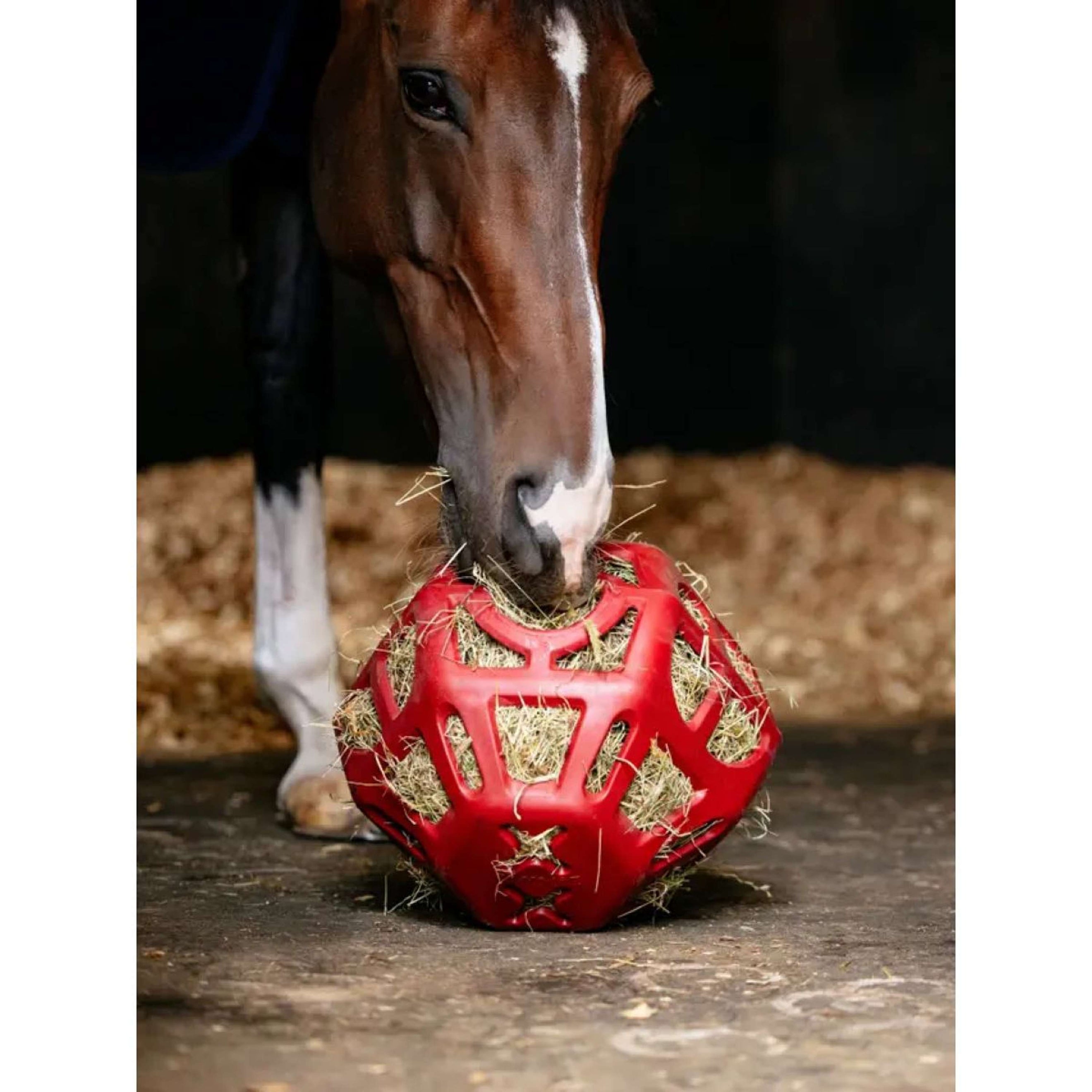 LeMieux Pallone da Gioco Hay Peperoncino LeMieux Pallone da Gioco Hay Peperoncino