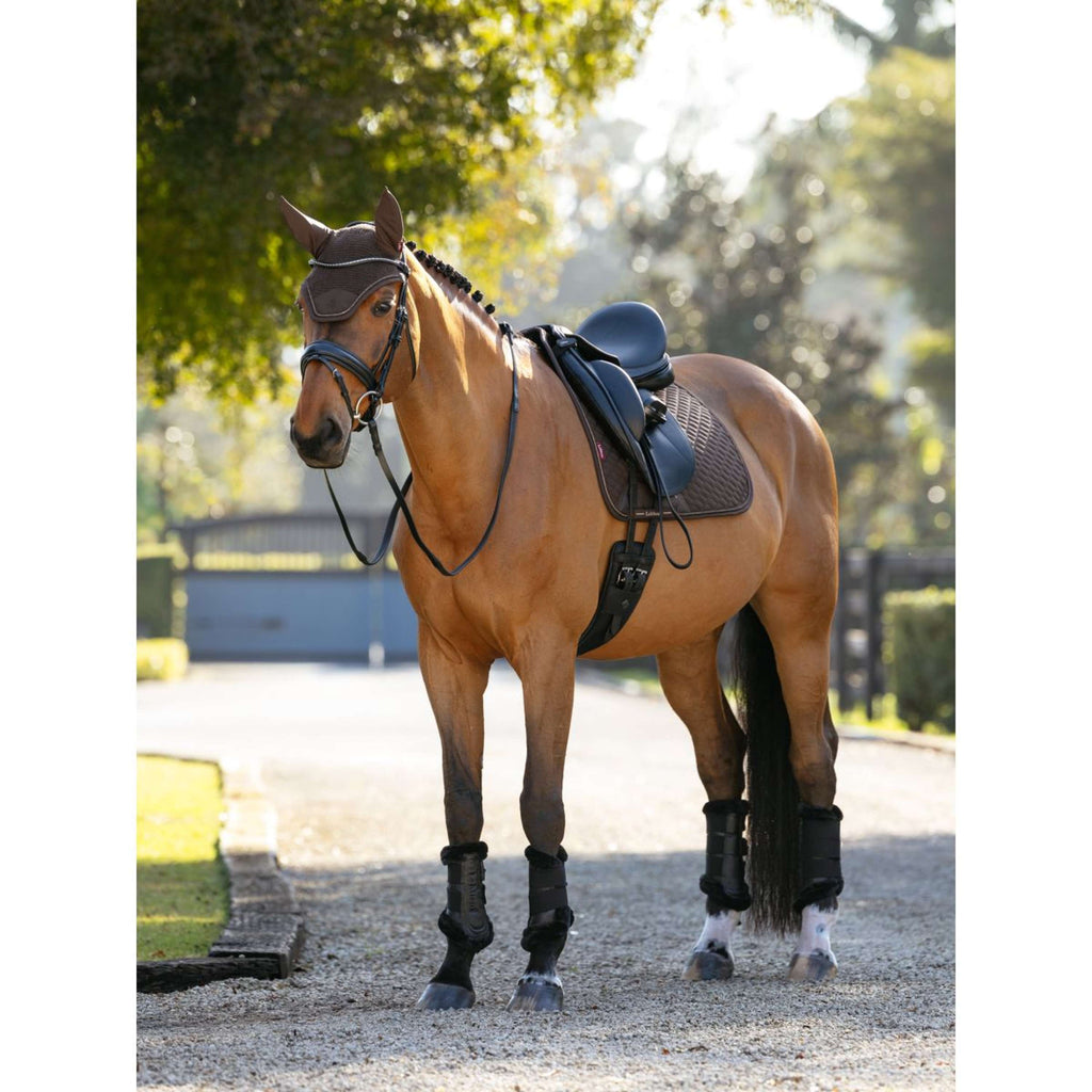 LeMieux Sottosella Brilliance Dressage Espresso