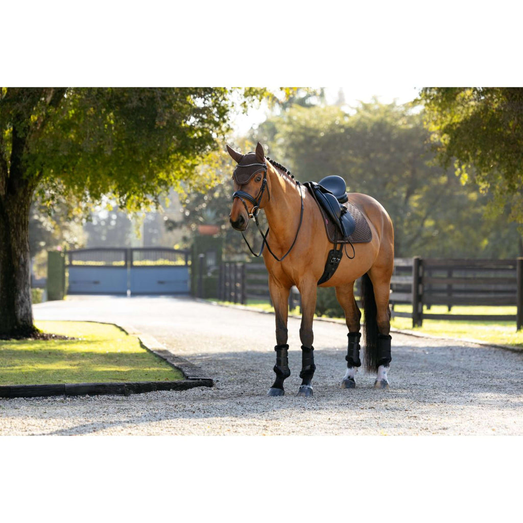 LeMieux Sottosella Brilliance Dressage Espresso