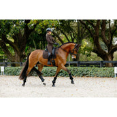 LeMieux Sottosella Brilliance Dressage Espresso