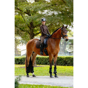 LeMieux Sottosella Brilliance Dressage Espresso