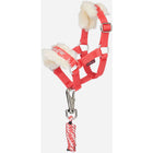 LeMieux Capezza per Pony Giocattolo Coral Crush