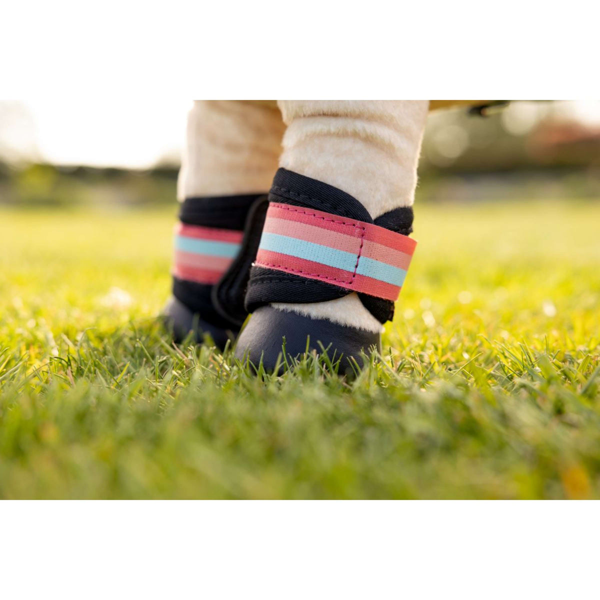 LeMieux Toy Pony Protezioni per le Gambe Coral Crush