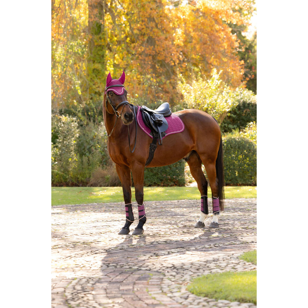 LeMieux Sottosella Suede Close Contact Square Saltando Blackberry