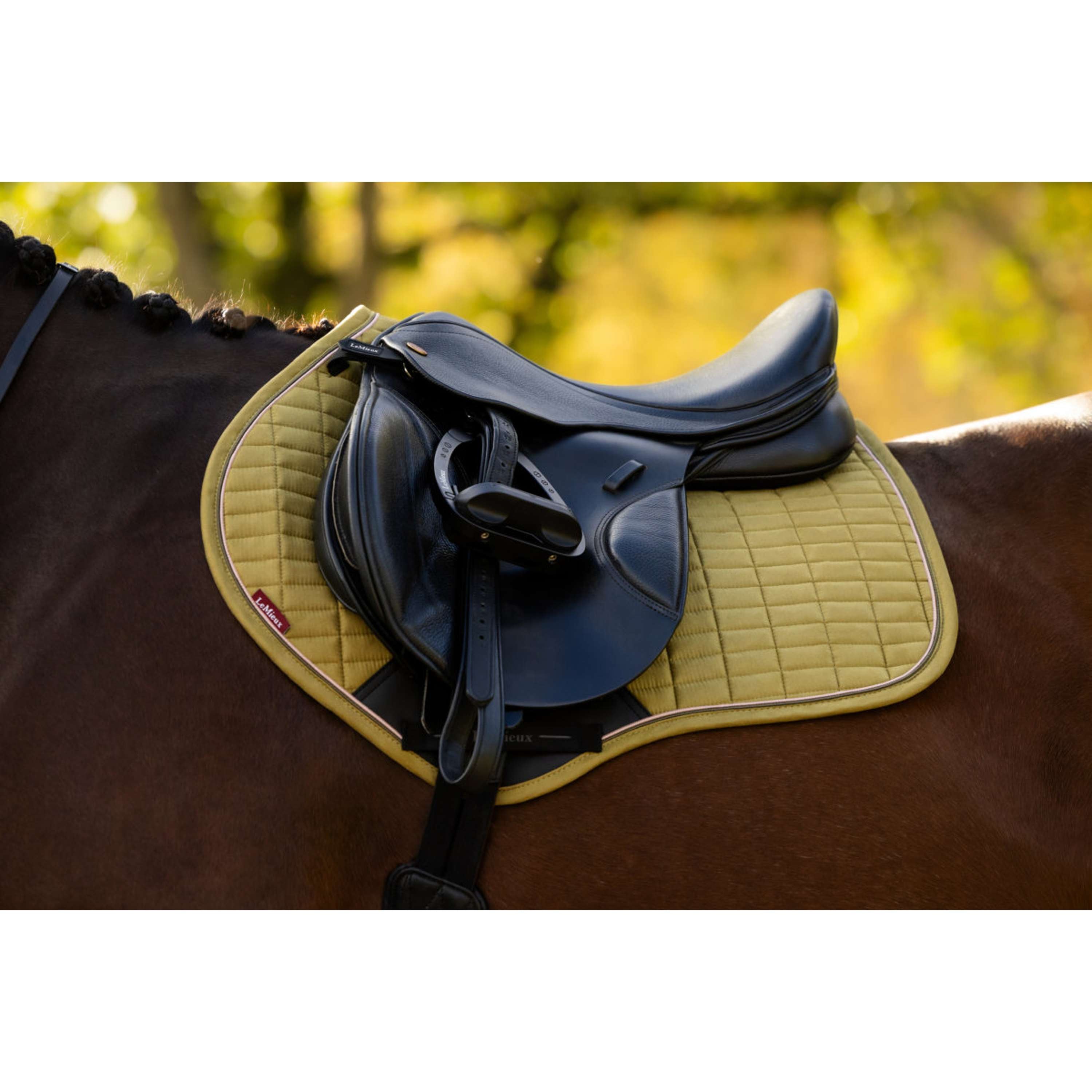LeMieux Sottosella Suede Close Contact Square Saltando Gooseberry