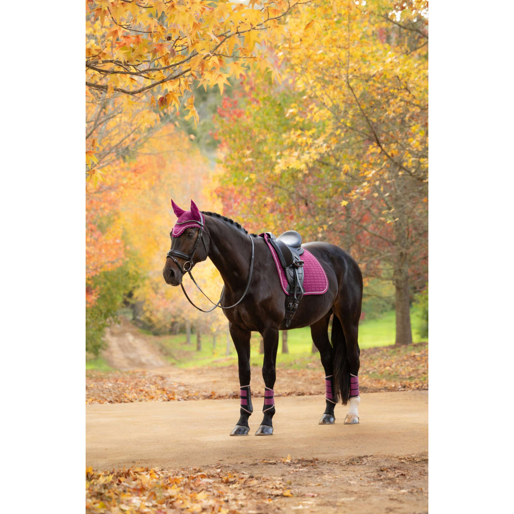 LeMieux Sottosella Suede Square Dressage Blackberry