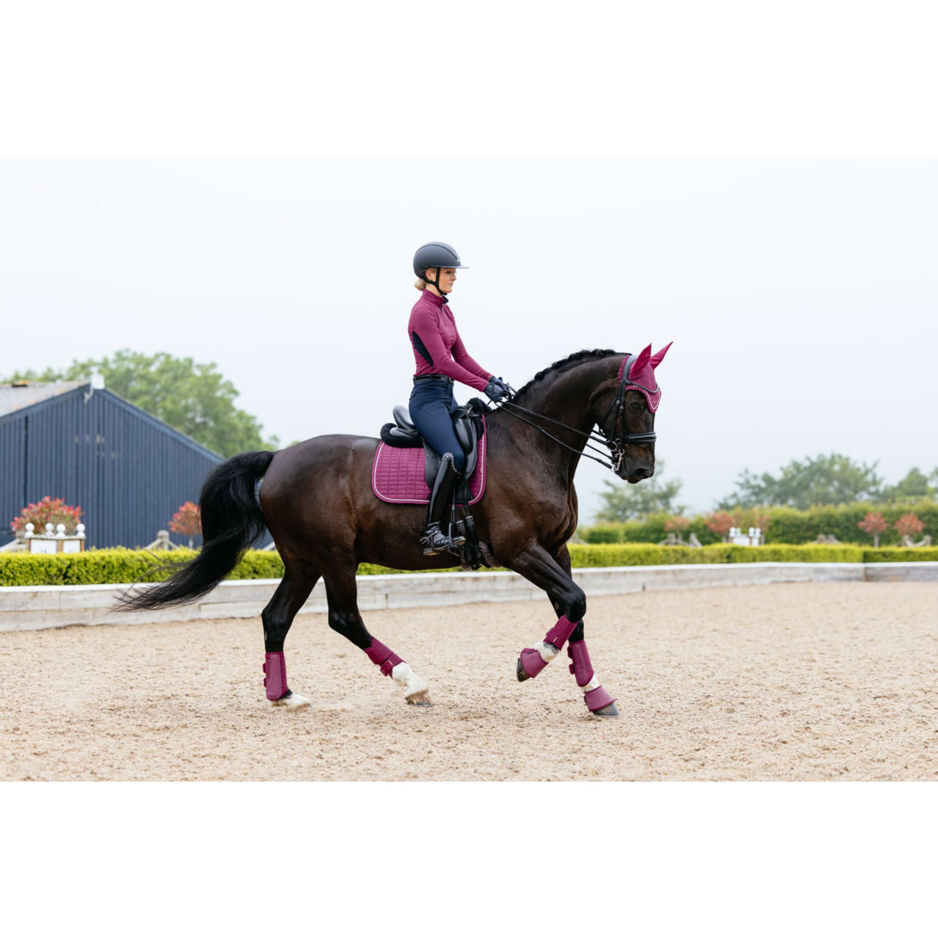 LeMieux Sottosella Suede Square Dressage Blackberry