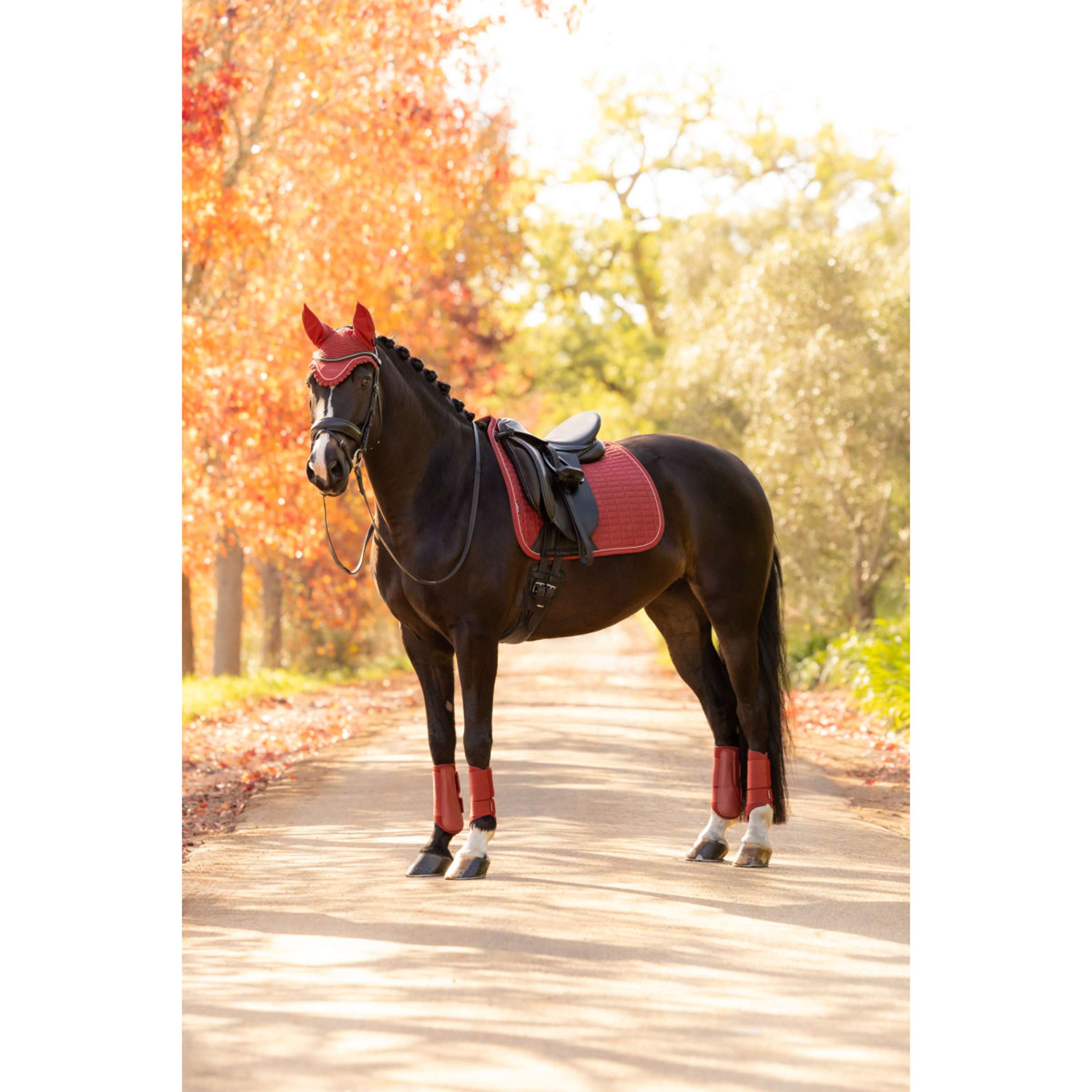 LeMieux Sottosella Suede Square Dressage Russet