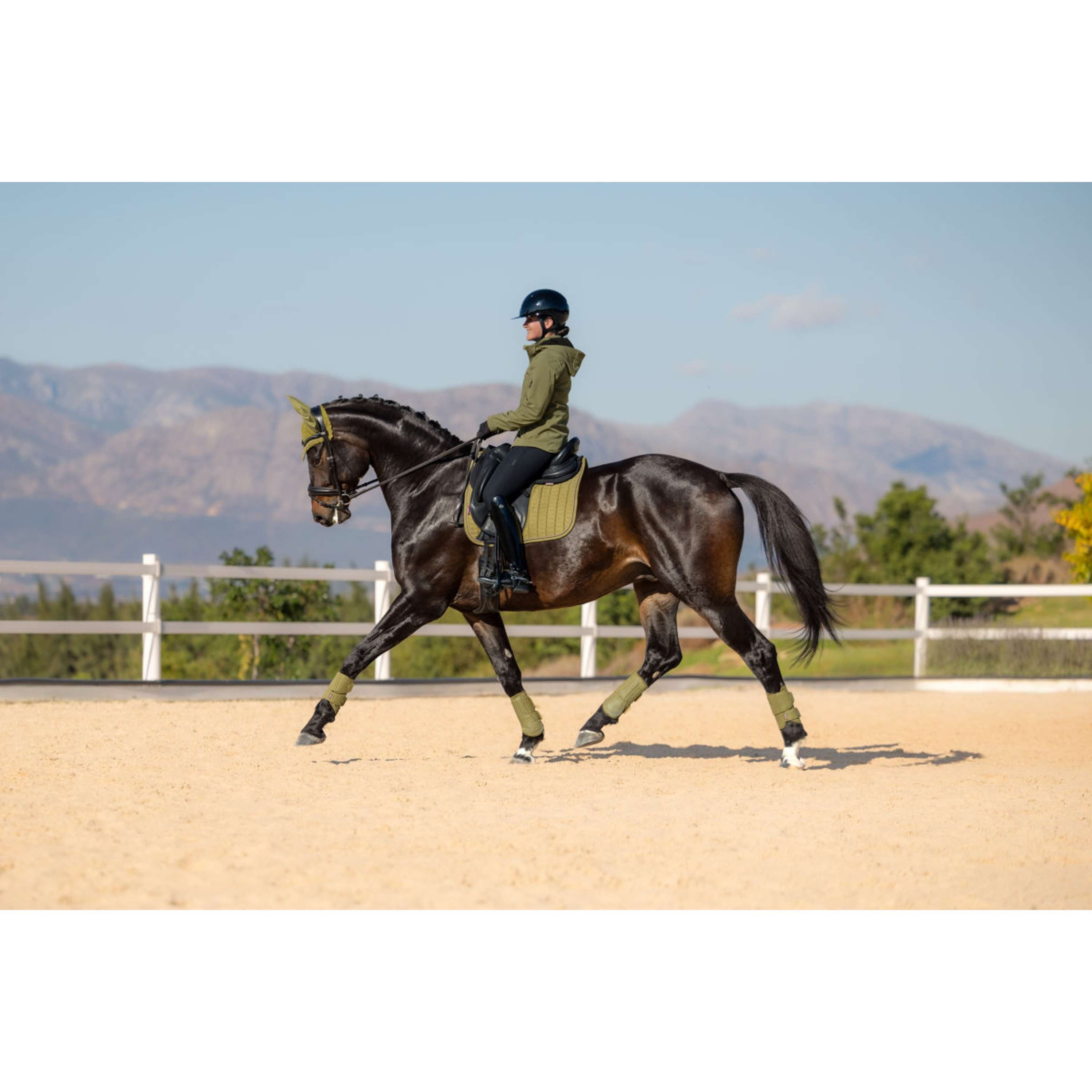 LeMieux Sottosella Suede Square Dressage Gooseberry