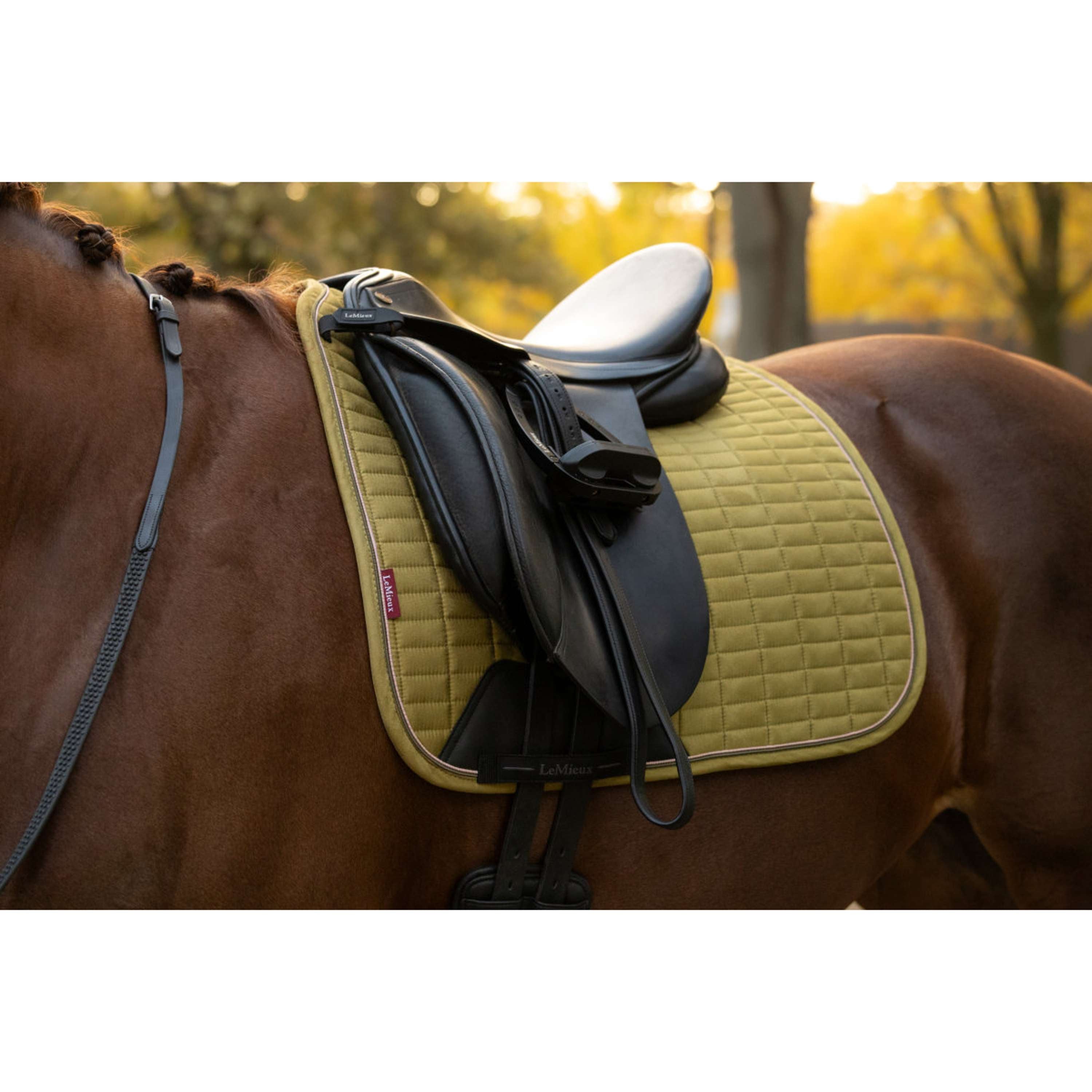 LeMieux Sottosella Suede Square Dressage Gooseberry
