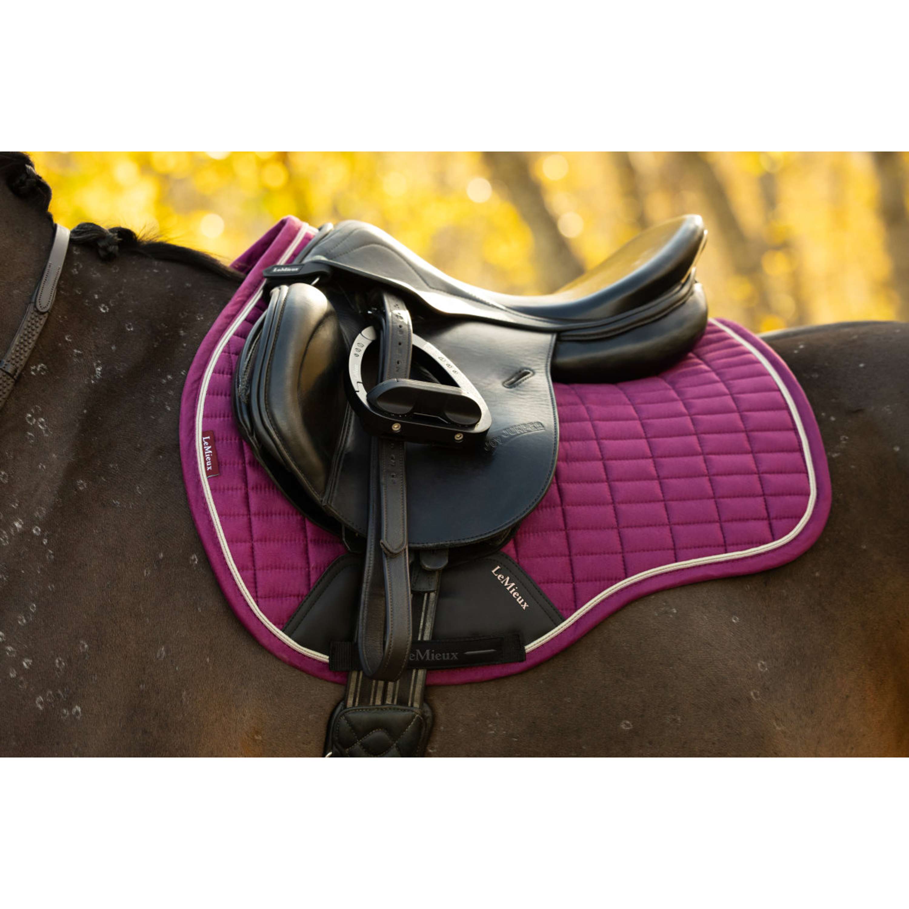 LeMieux Sottosella Suede Square Tutto Uso Blackberry