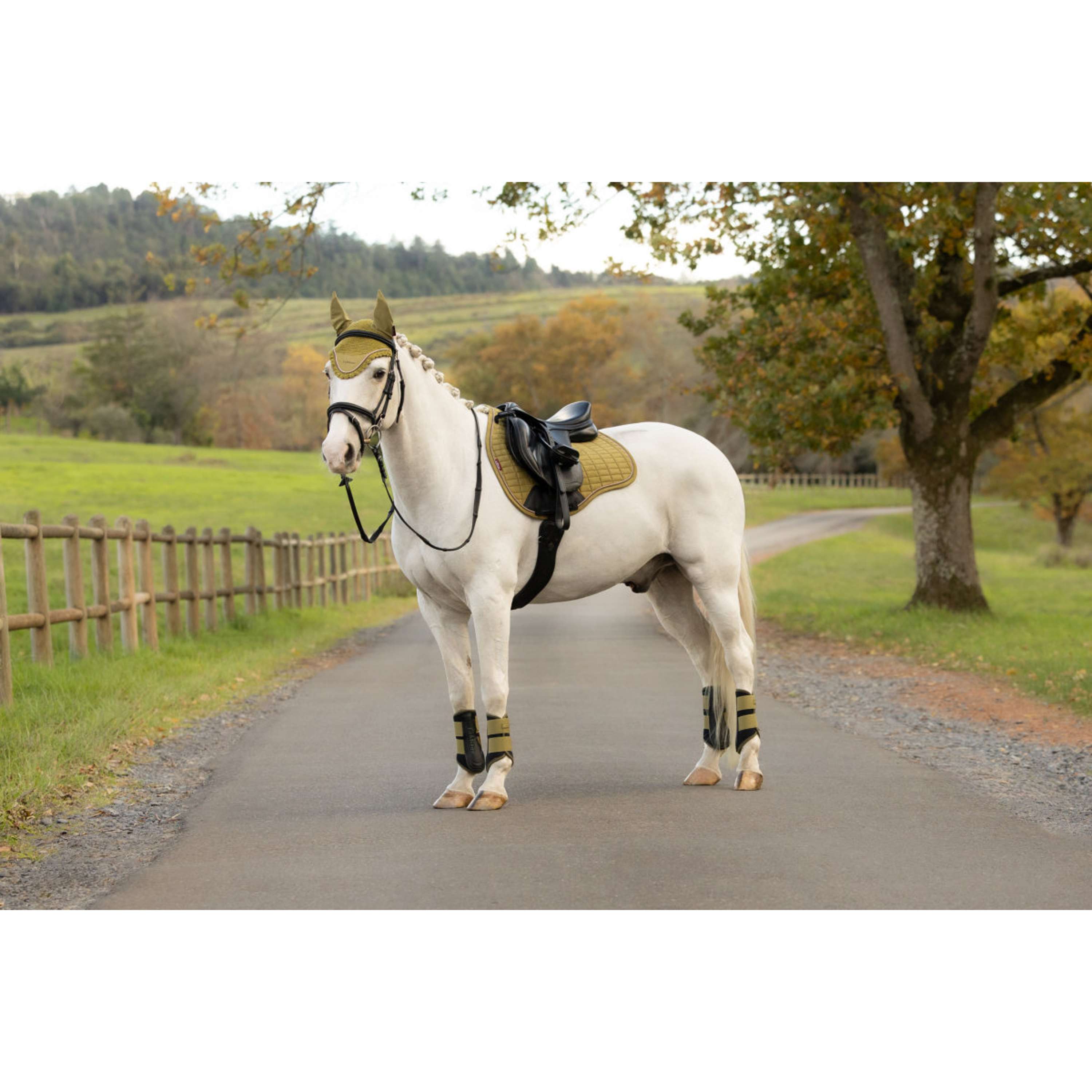 LeMieux Sottosella Suede Square Tutto Uso Gooseberry