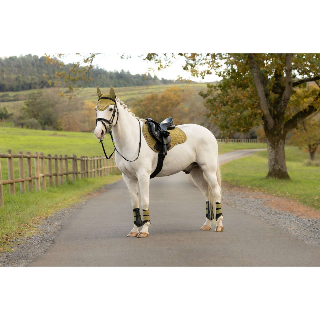 LeMieux Sottosella Suede Square Tutto Uso Gooseberry