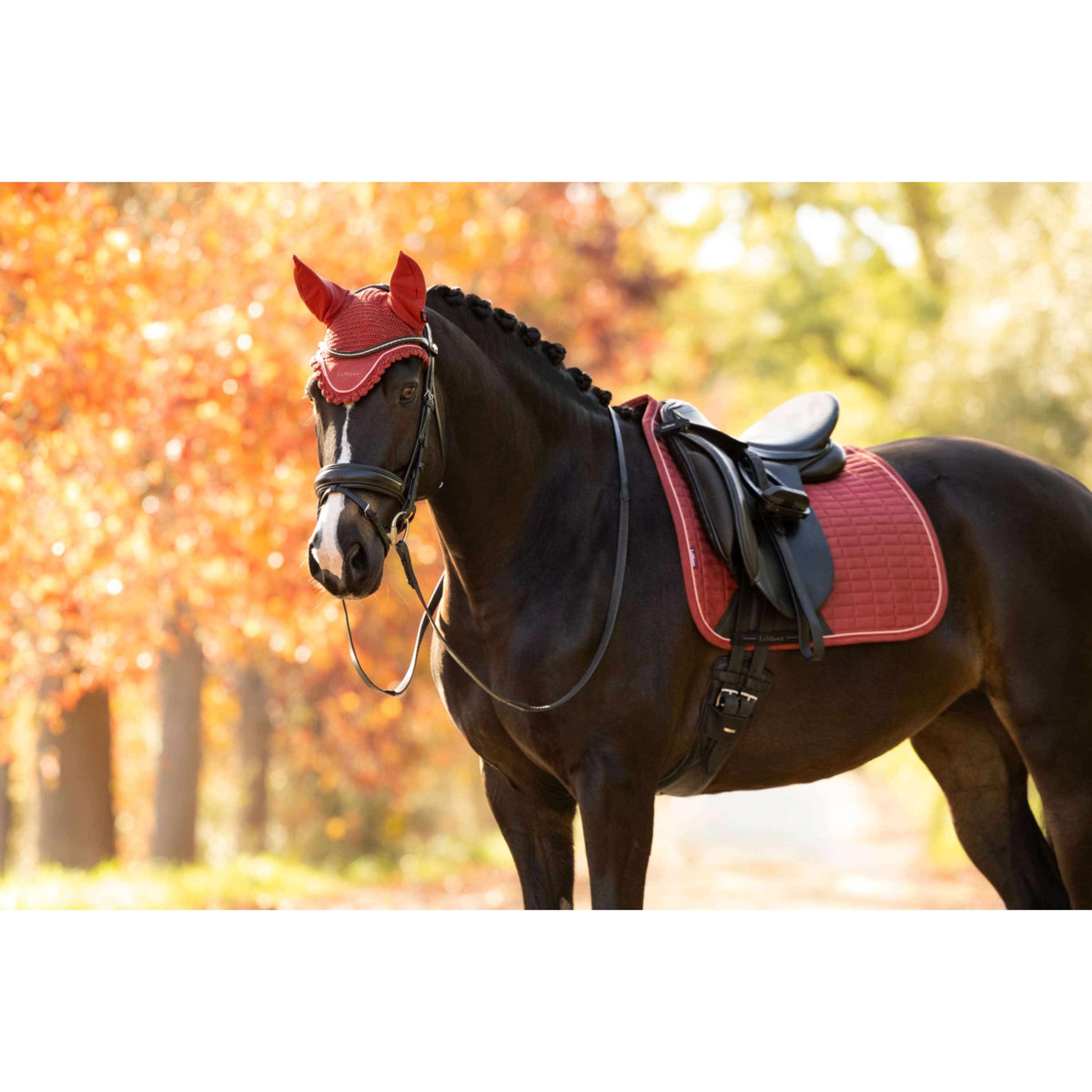 LeMieux Cuffietta Classique Russet