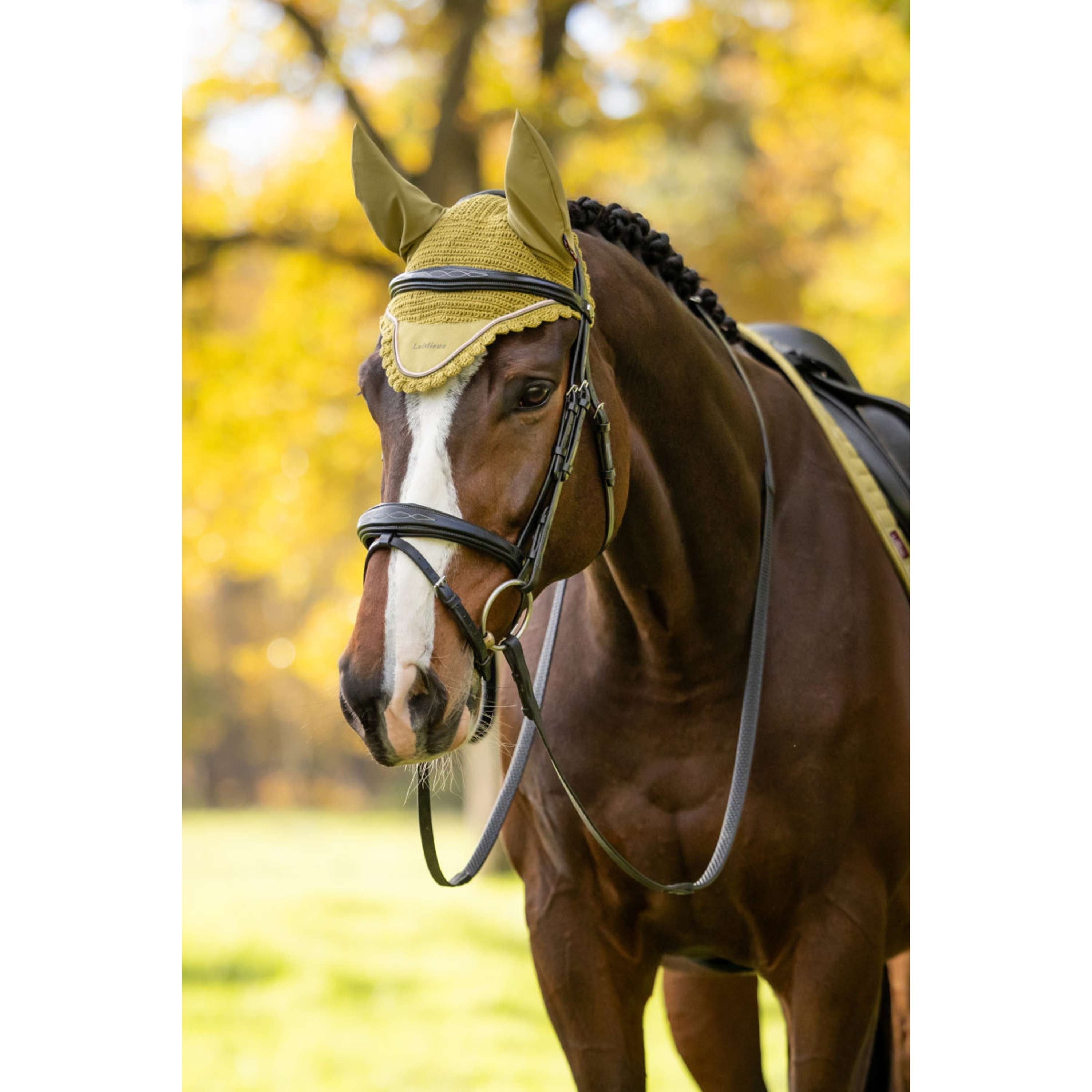LeMieux Cuffietta Classique Gooseberry
