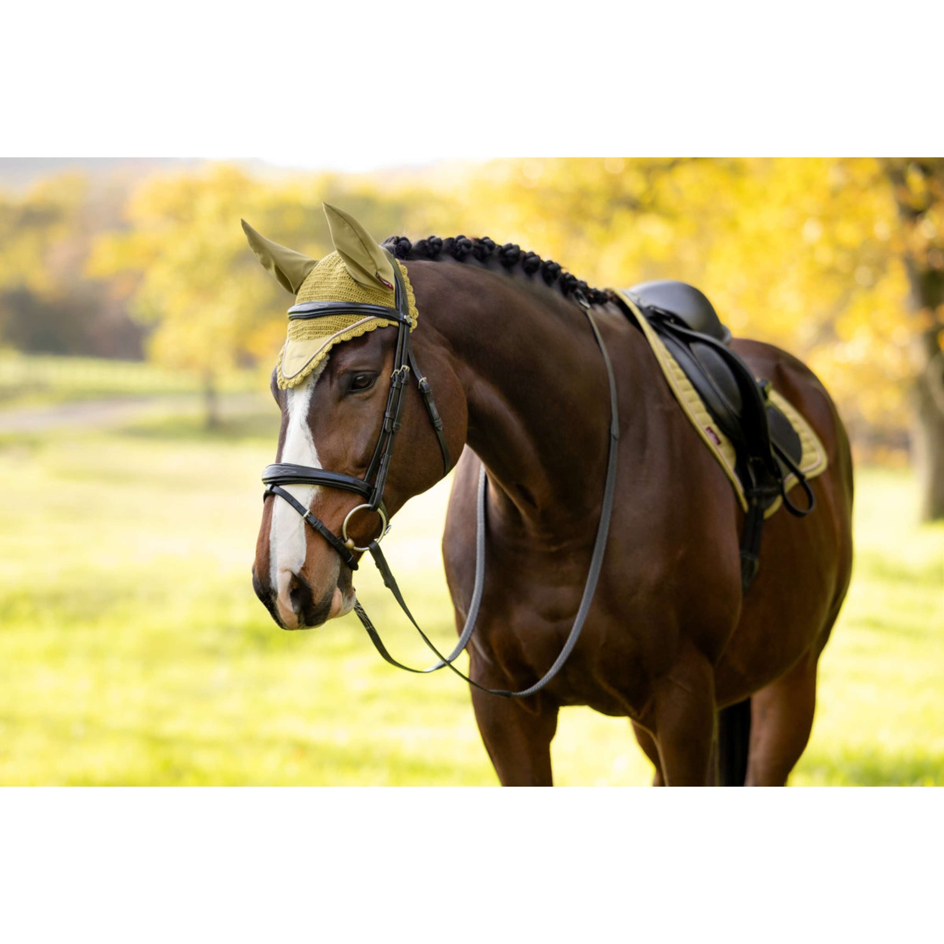 LeMieux Cuffietta Classique Gooseberry