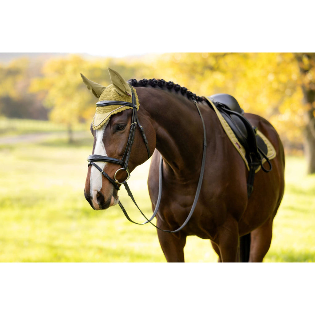LeMieux Cuffietta Classique Gooseberry