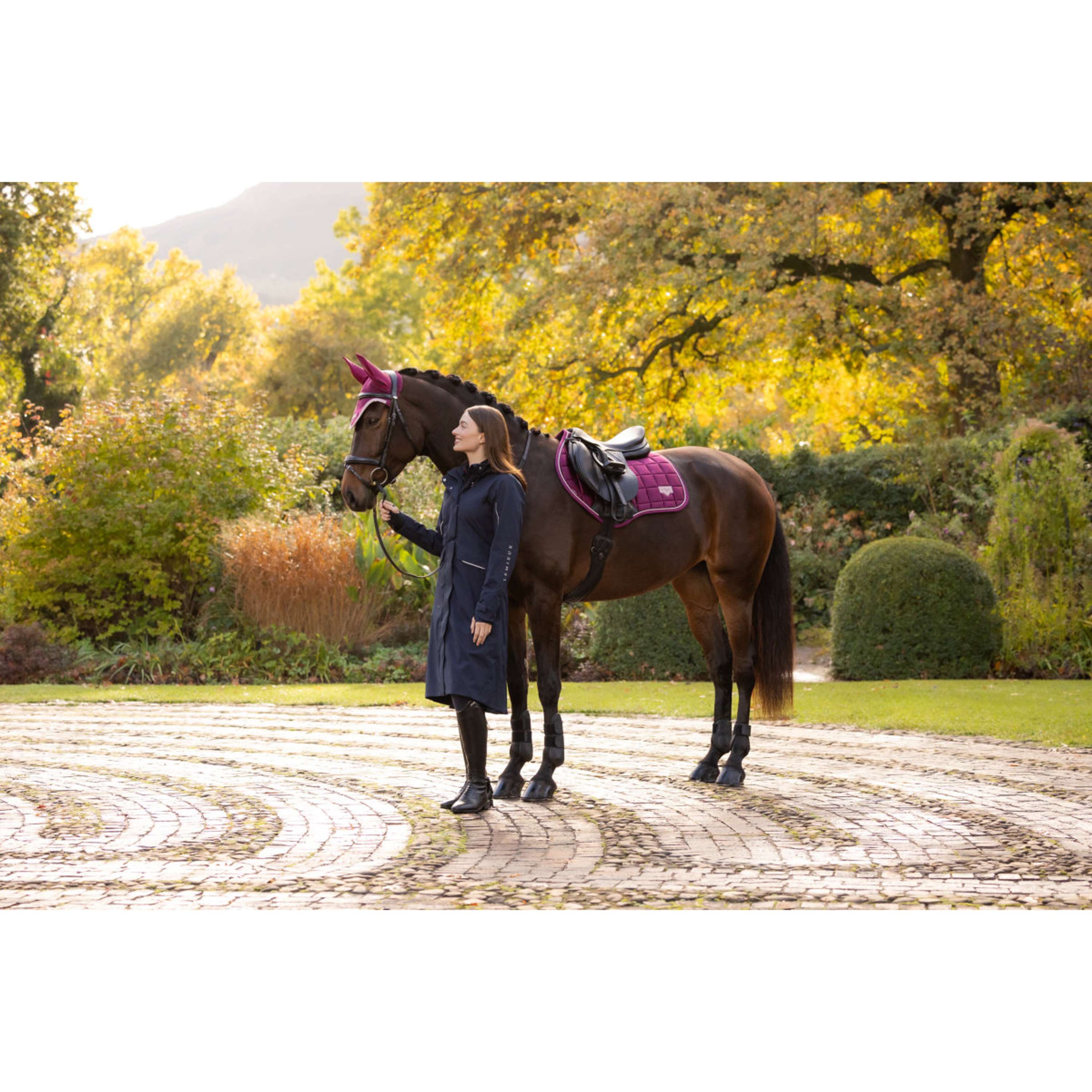 LeMieux Sottosella Loire Classic Close Contact Square Saltando Blackberry