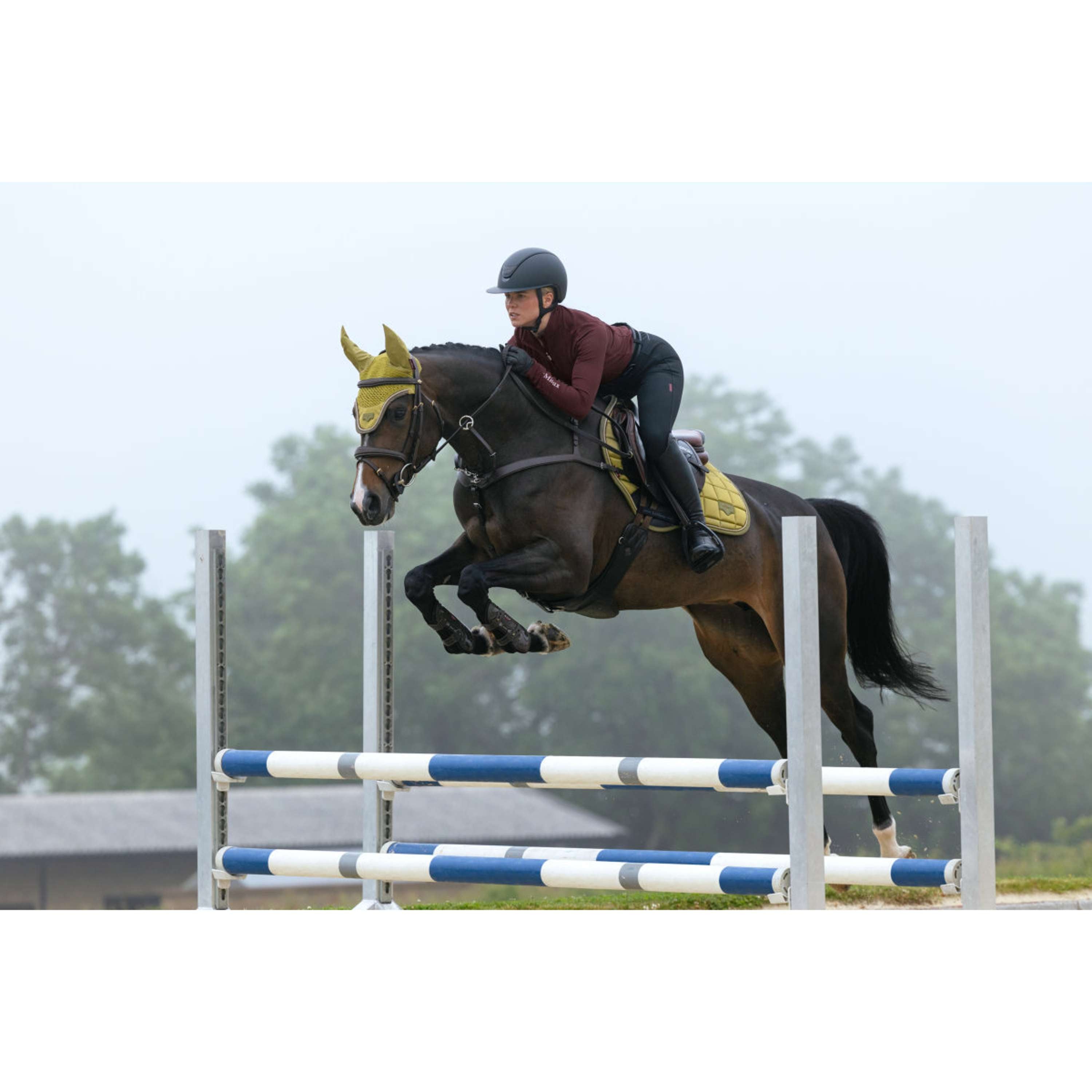 LeMieux Sottosella Loire Classic Close Contact Square Saltando Gooseberry