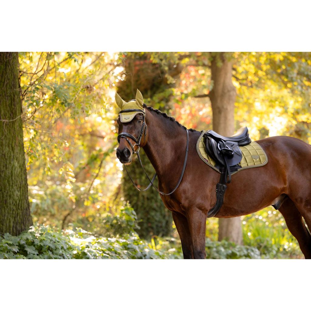 LeMieux Sottosella Loire Classic Close Contact Square Saltando Gooseberry