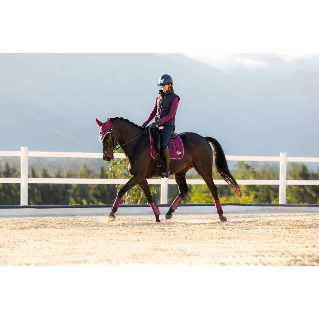 LeMieux Sottosella Loire Classic Square Dressage Blackberry