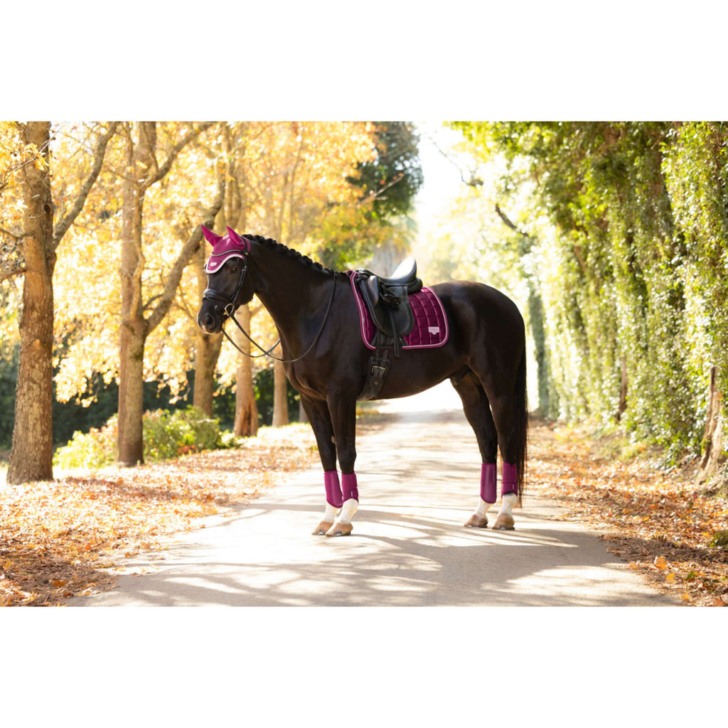 LeMieux Sottosella Loire Classic Square Dressage Blackberry