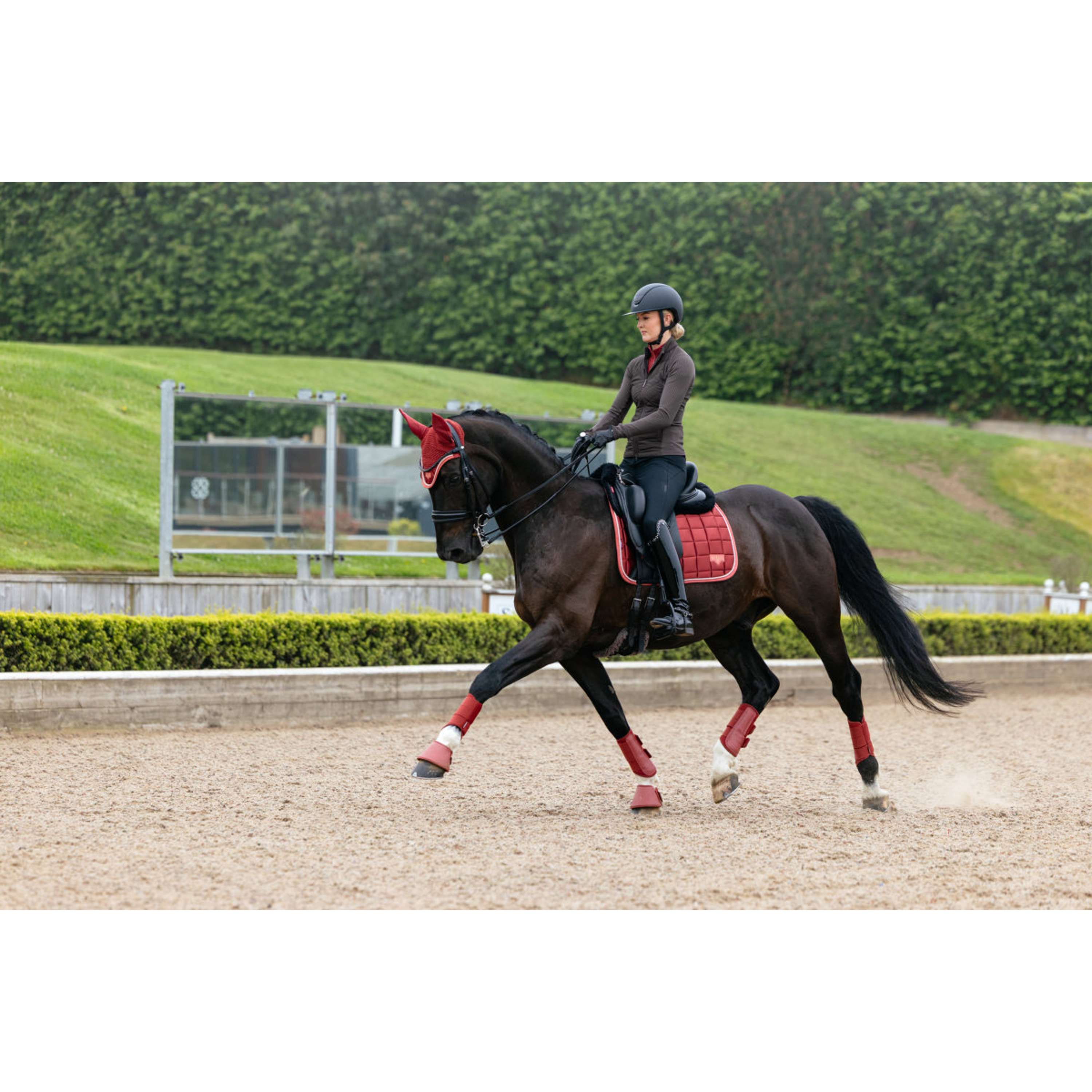 LeMieux Sottosella Loire Classic Square Dressage Russet