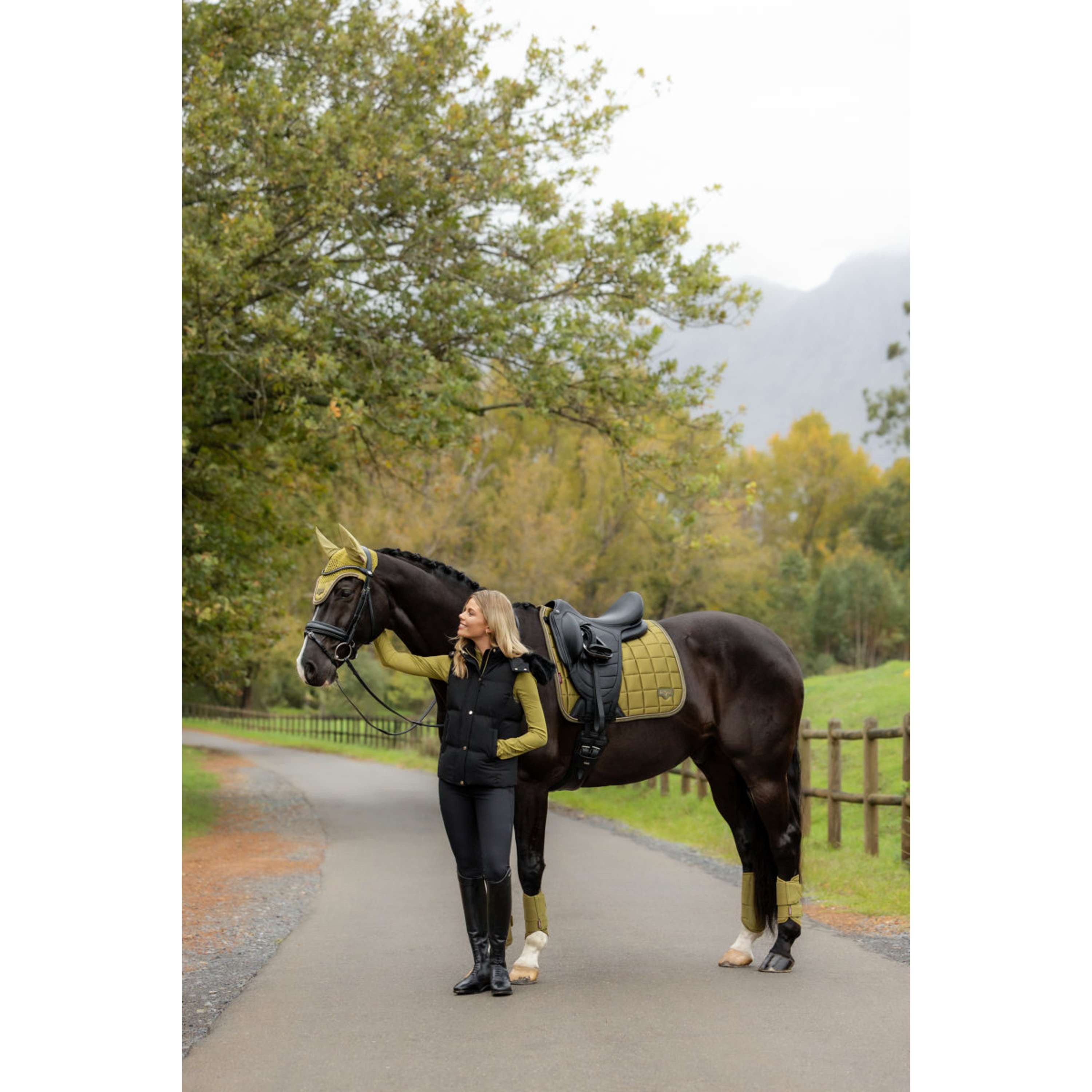 LeMieux Sottosella Loire Classic Square Dressage Gooseberry