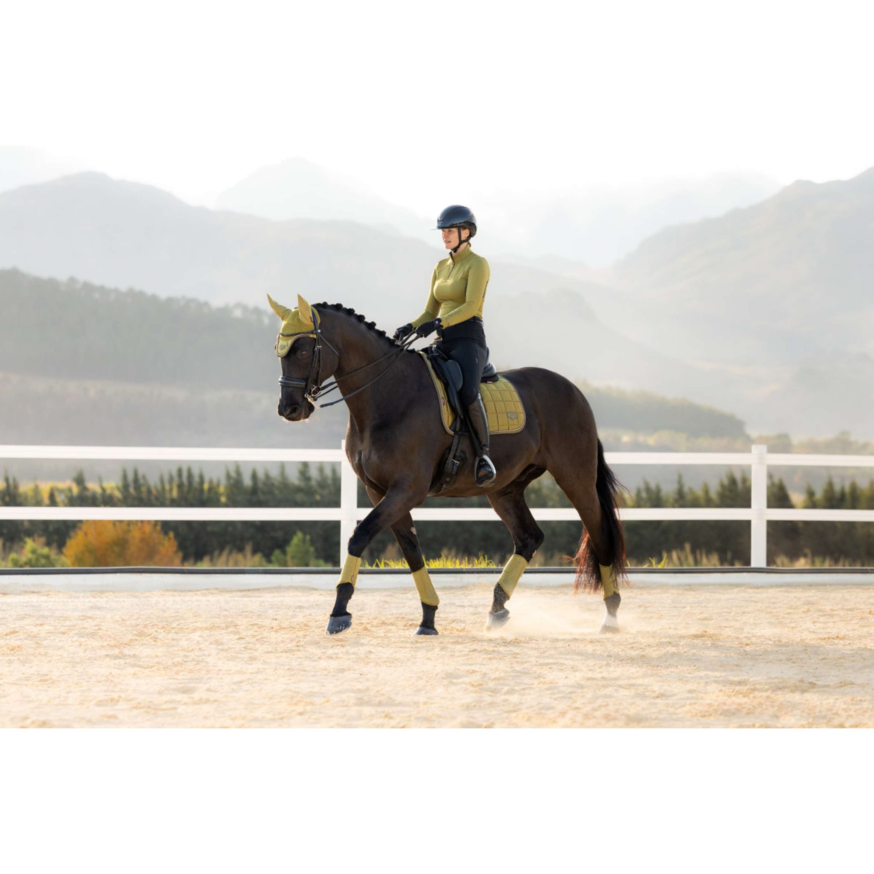 LeMieux Sottosella Loire Classic Square Dressage Gooseberry