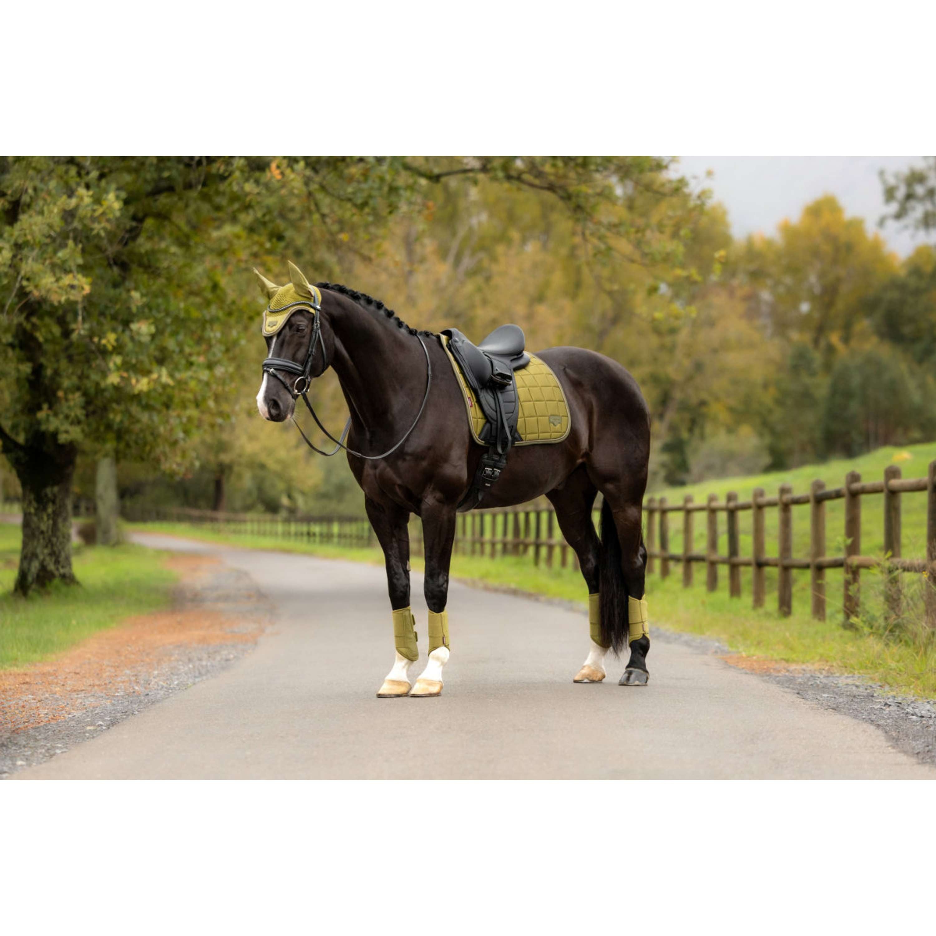 LeMieux Sottosella Loire Classic Square Dressage Gooseberry