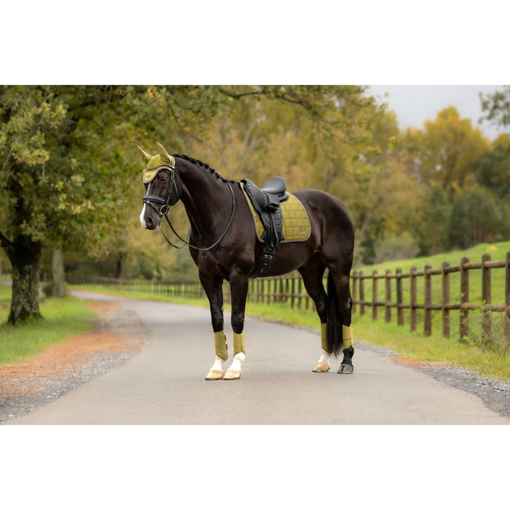 LeMieux Sottosella Loire Classic Square Dressage Gooseberry
