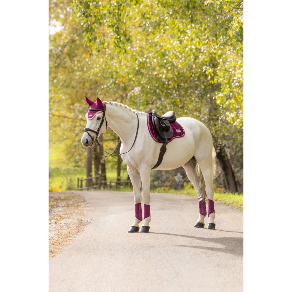 LeMieux Sottosella Loire Classic Square Tutto Uso Blackberry