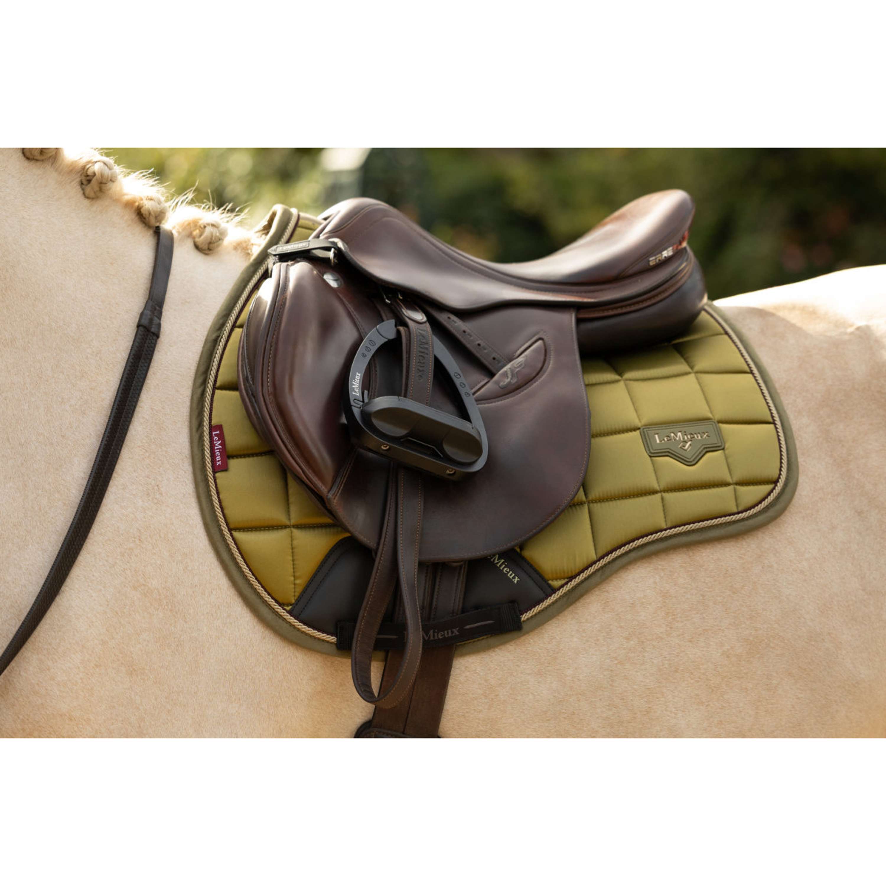 LeMieux Sottosella Loire Classic Square Tutto Uso Gooseberry