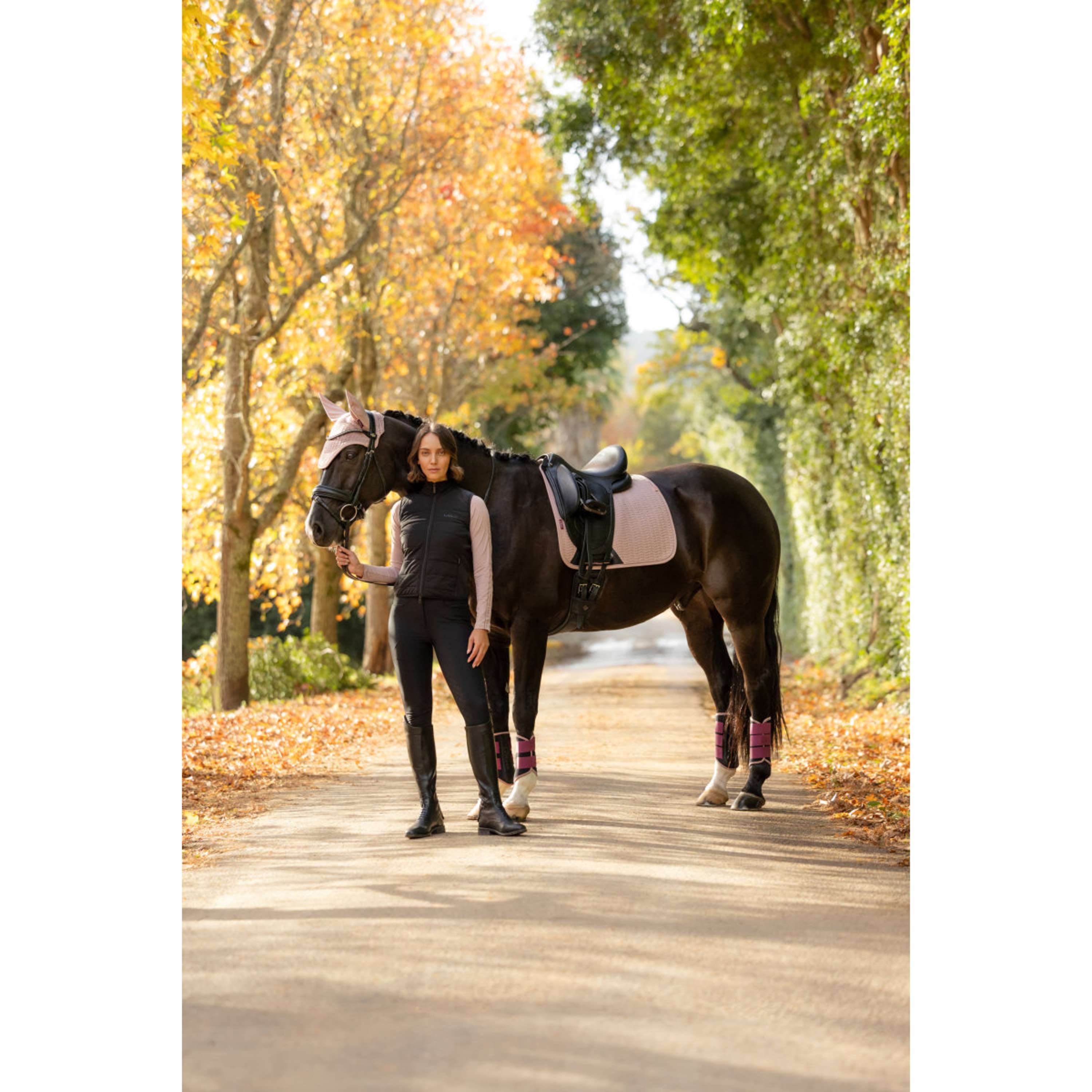 LeMieux Sottosella Essence Dressage Wild Rose