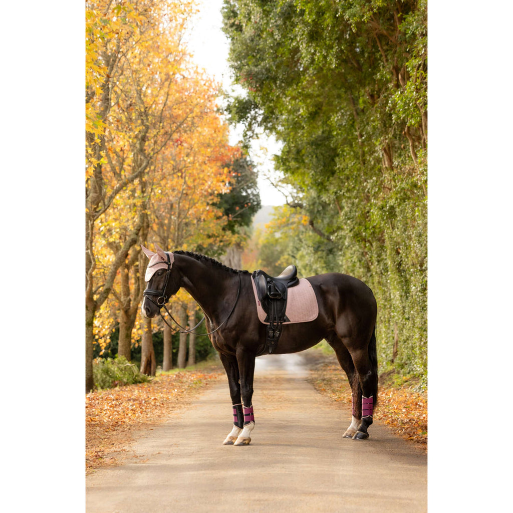 LeMieux Sottosella Essence Dressage Wild Rose