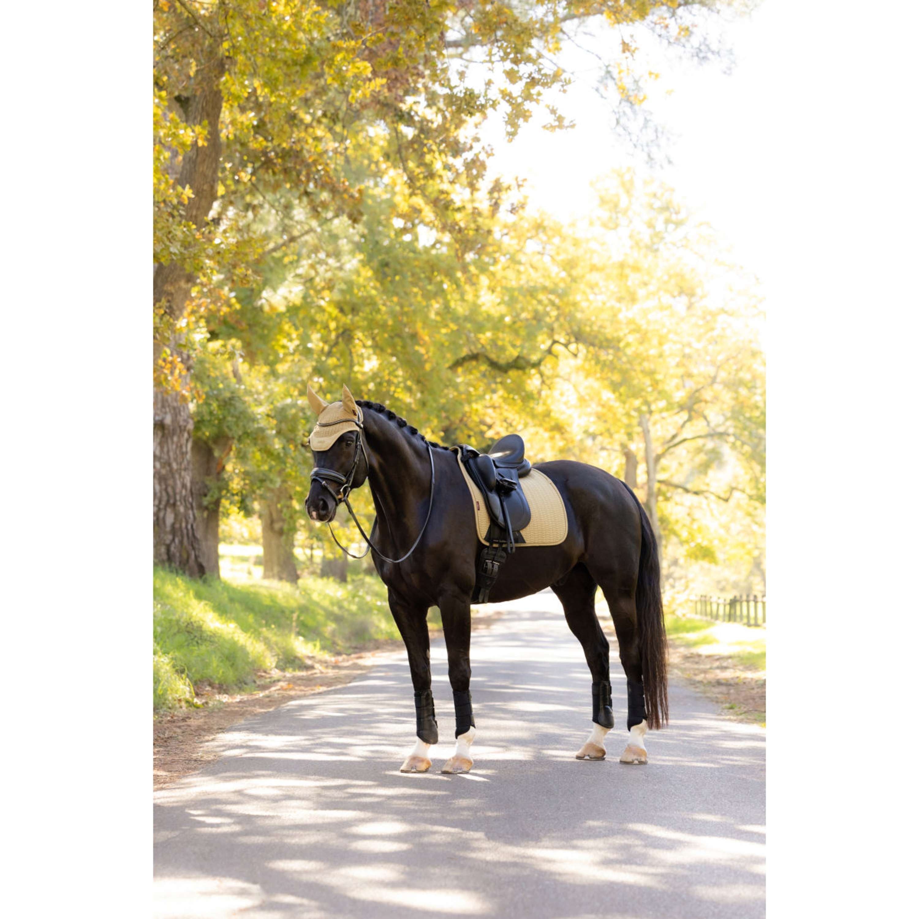 LeMieux Sottosella Essence Dressage Pear