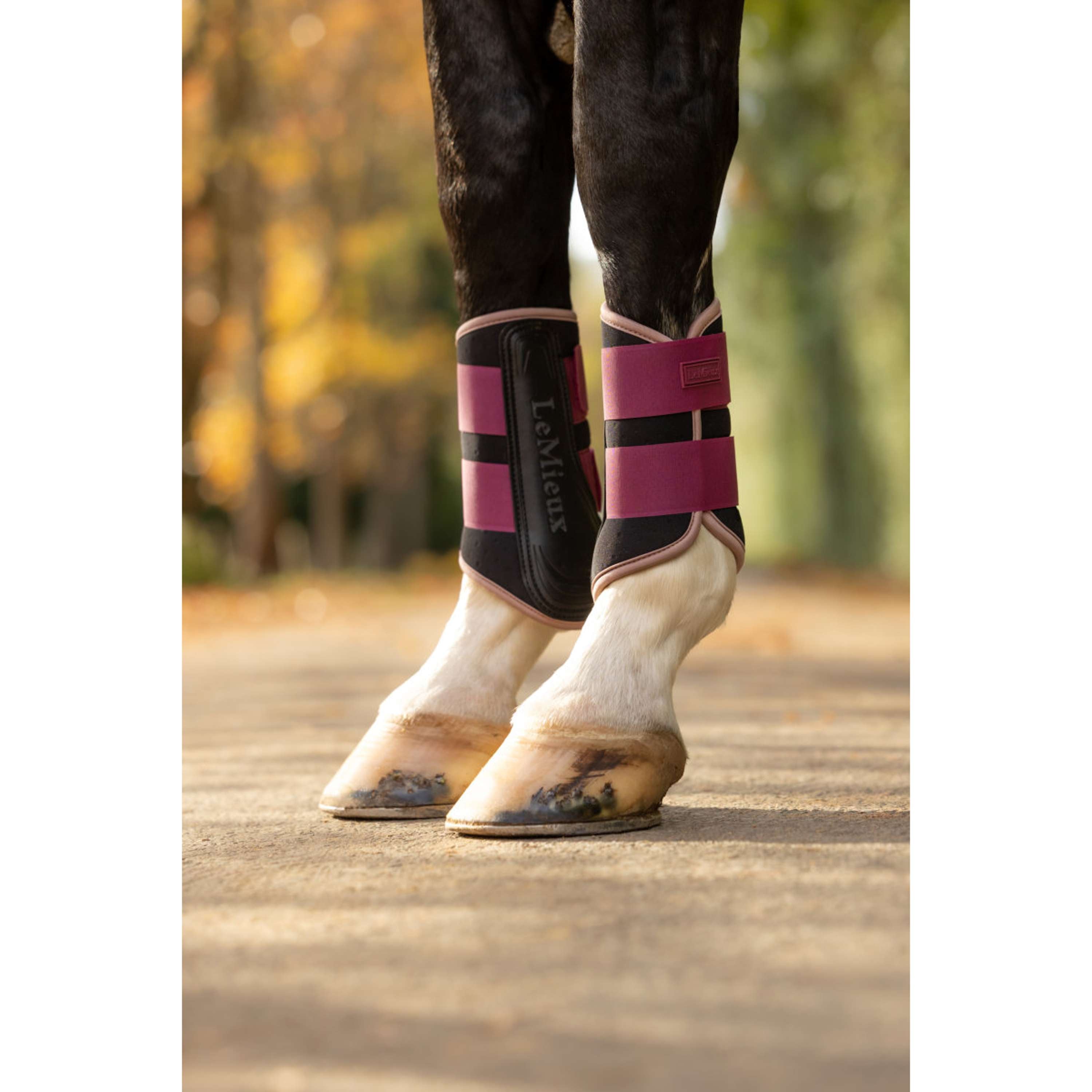 LeMieux Parastinchi Air-Tek Grafter Blackberry