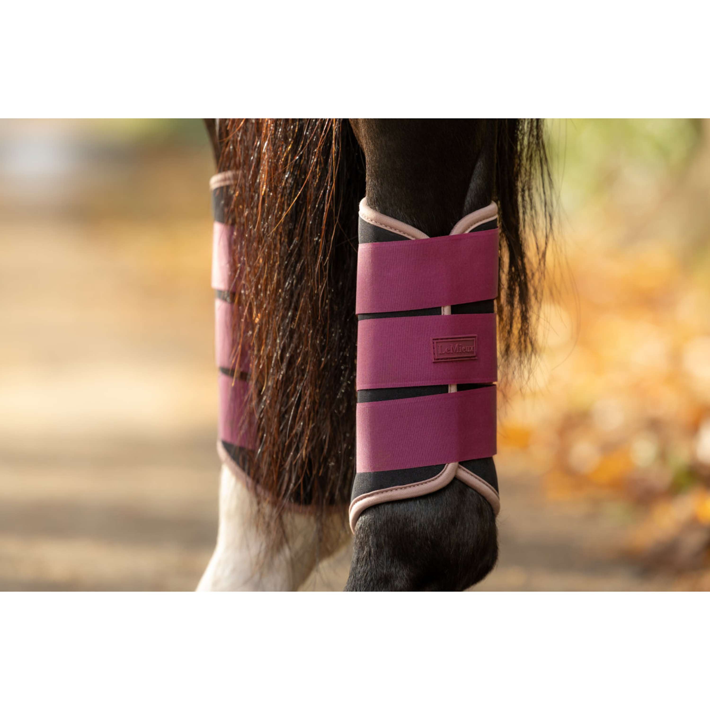 LeMieux Parastinchi Air-Tek Grafter Blackberry