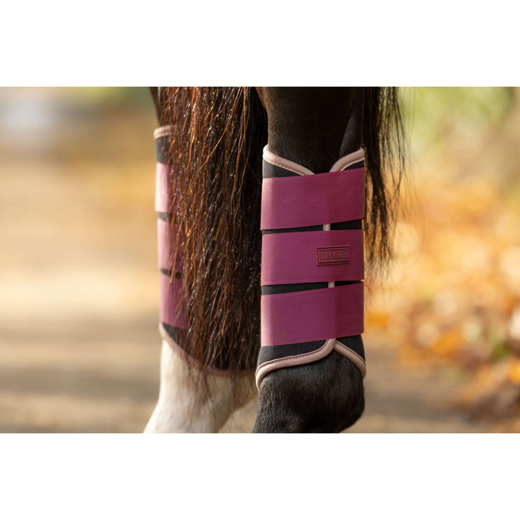 LeMieux Parastinchi Air-Tek Grafter Blackberry