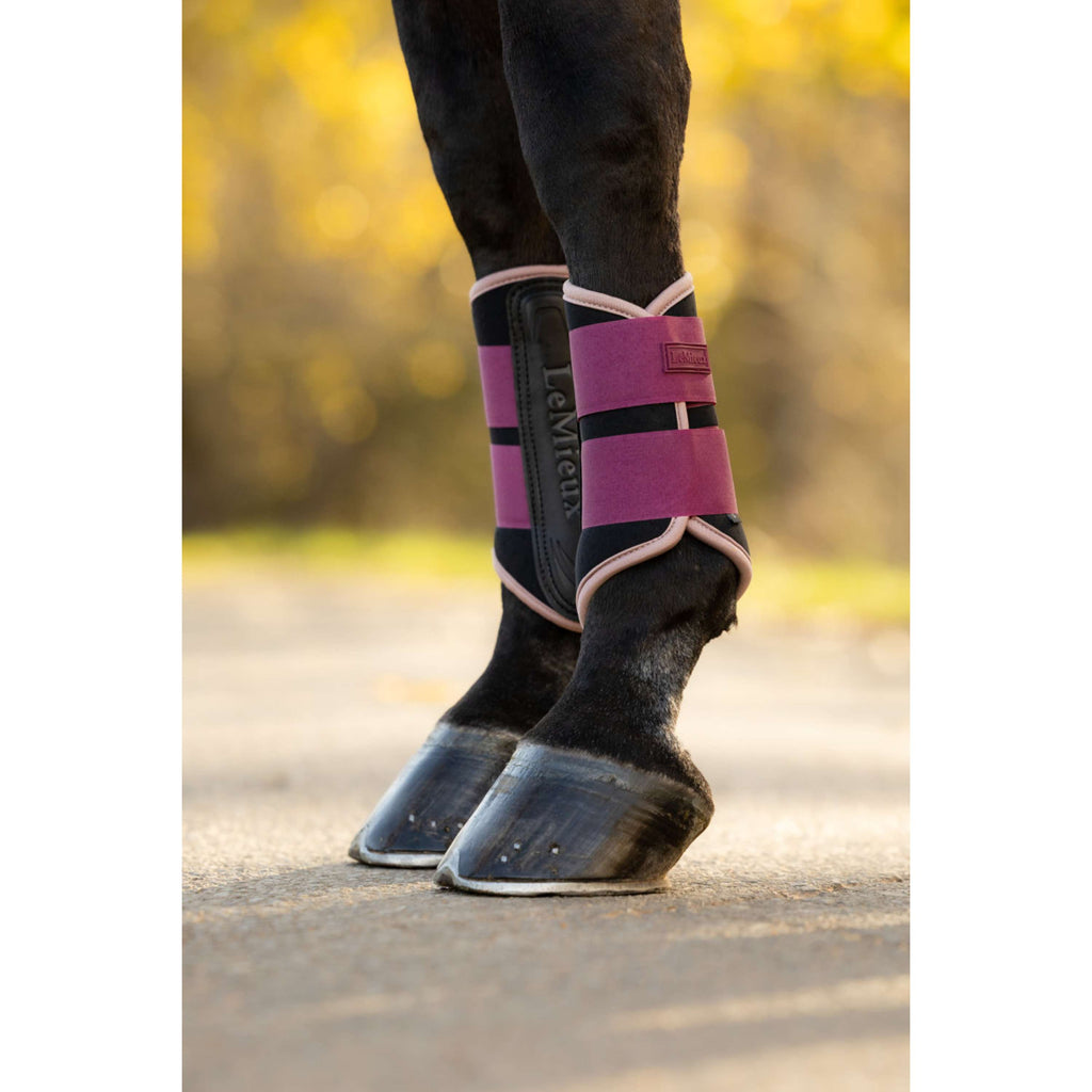 LeMieux Parastinchi Air-Tek Grafter Blackberry