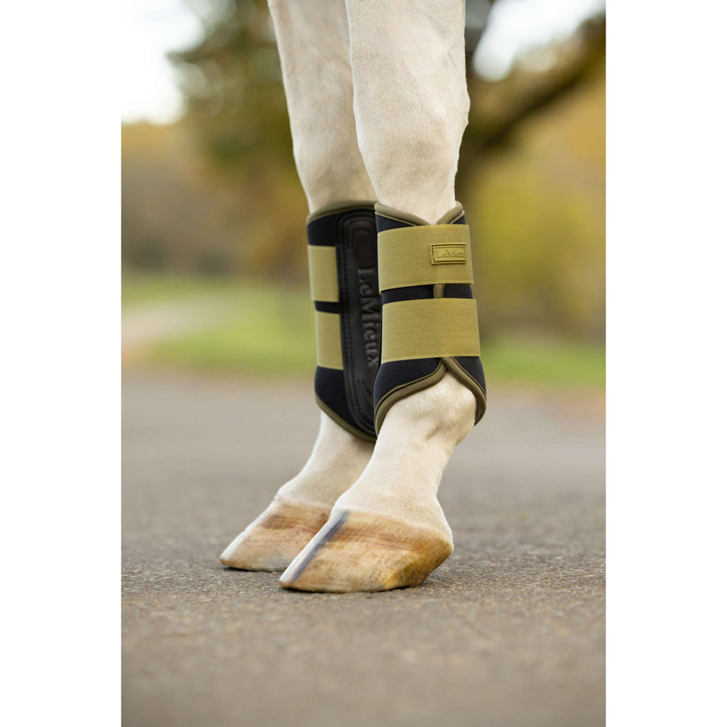 LeMieux Parastinchi Air-Tek Grafter Gooseberry