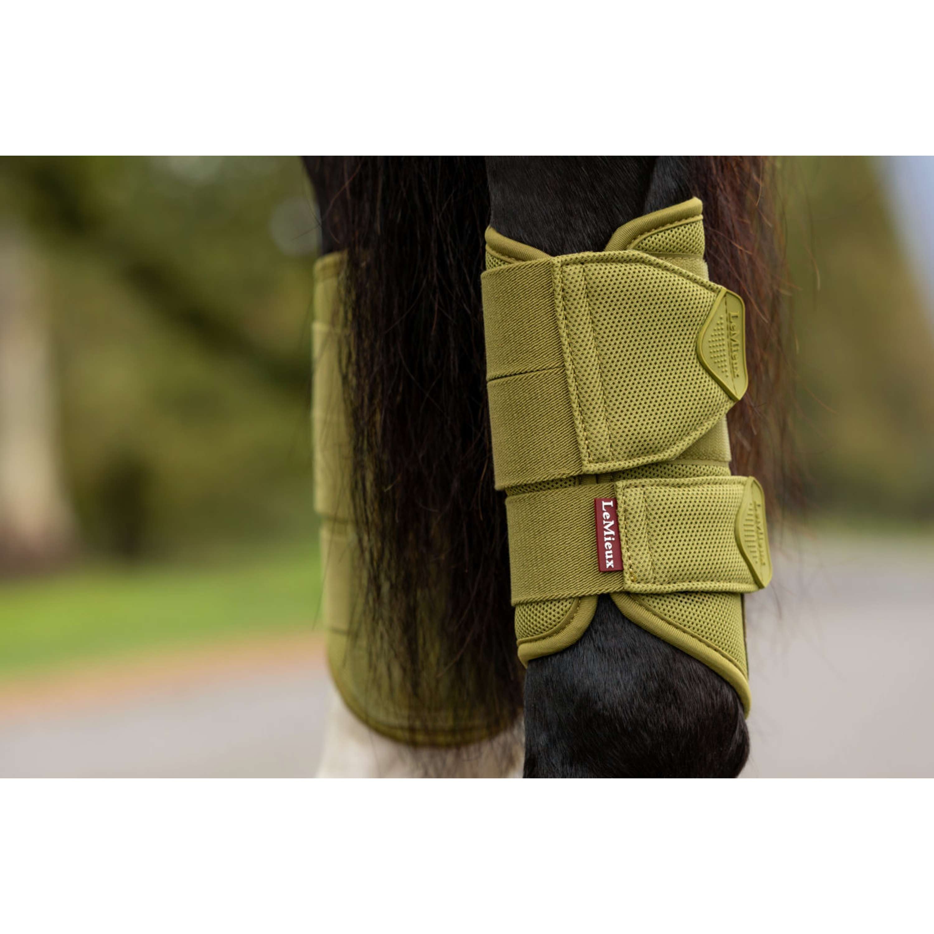 LeMieux Parastinchi Arika Mesh Gooseberry